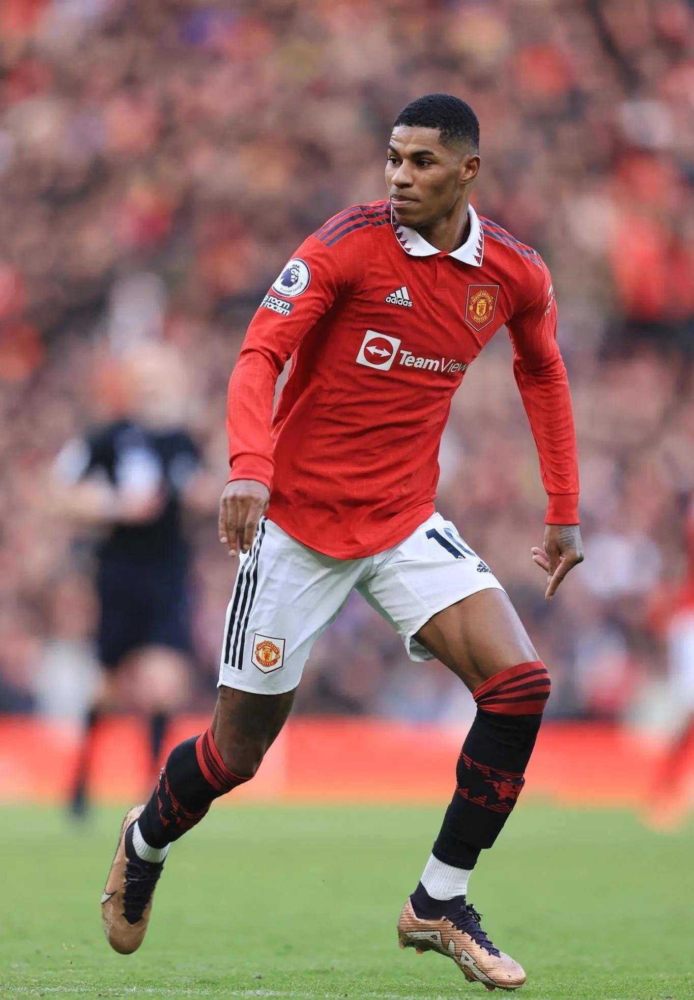 最终获得了 最终获得了